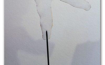 Optique: deux artistes expérimentent la peinture d’invisibilité